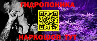 эйфоретик Тверь