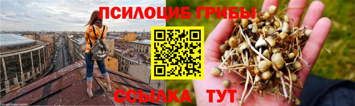 Галлюциногенные грибы GOLDEN TEACHER Набережные Челны